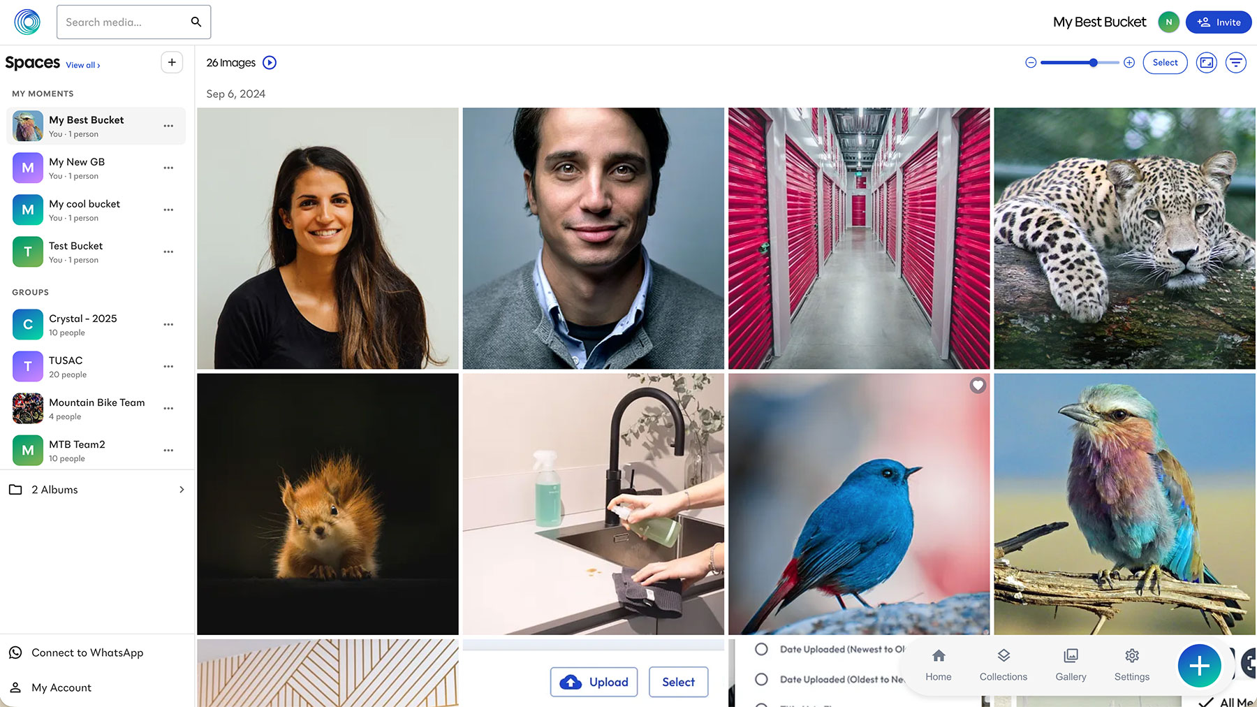 Photobucket Group Buckets Interface
